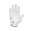 FLAG SEEKERS GLOVE -FootJoy Store M 8393 IVORY 1